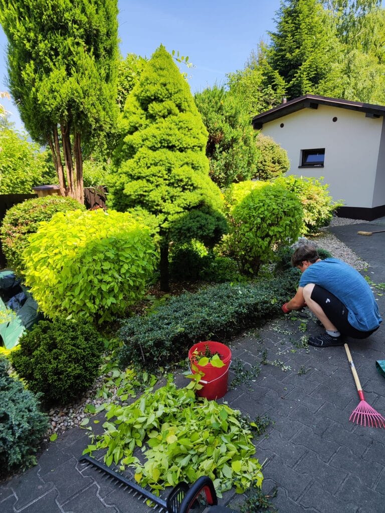 Údržba zahrad Třinec Lyžbice – stříhání keřů